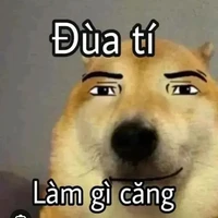 cảnh sát meme