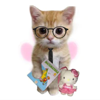 xì trum_tác giả