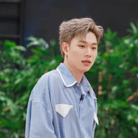 Trần Đăng Dương (domic)