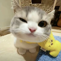 nhỏ T/G
