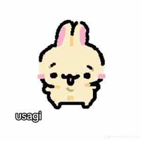 Usagi bel vch
