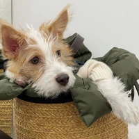 Người Khổ Nhất Thế Giới 💦💧