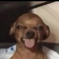 tgiả tồi
