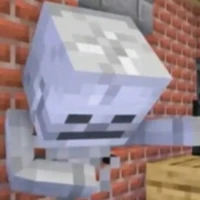 Skeleton (skelly )