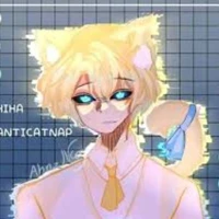 Hiha Anti Catnap