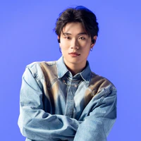 Trần Đăng Dương (Dương Domic)