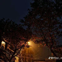 Nv bí ẩn