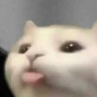 t/g 1 (con tg sai chính tả)