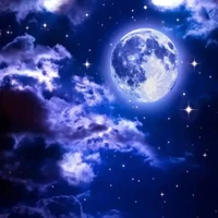 cân tất các nv phụ