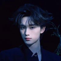 Đinh Trình Hâm