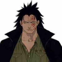 Monkey .D. Dragon