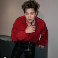 dương domic