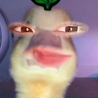 TG đê