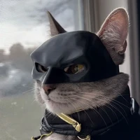 hệ thống lanhklungs