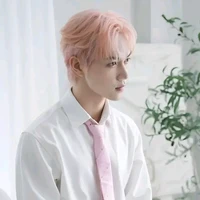 jsol- sơn