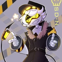 SD-N