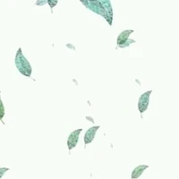 mọi người