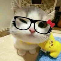 T/g cute 