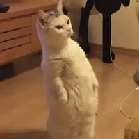 All