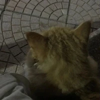 Đừng gọi em bằng tên hãy gọi em là dợ 😈