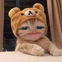 tác giả