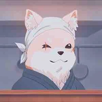 Master shiba
