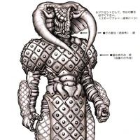 Orcphnocnhs