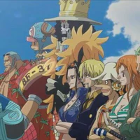 Chopper,Nami,ussop,brook
