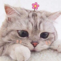 tgia nè♡
