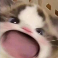 t/g Ká