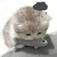 Tác Giả Meo Meo 💤