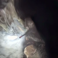 kim tuệ(bff.của hân)