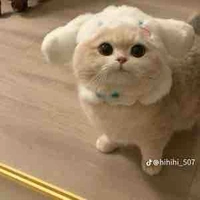 Nhỏ tgia 