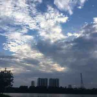 Tác giả cú đêm