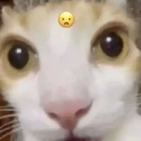 all(trừ ai thì trừ)