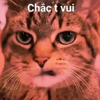 All nhân vật ( - ai thì trừ aa )