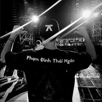 Phạm Đình Thái Ngân