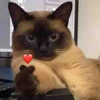 NPC (cân mọi loại nhân vật )