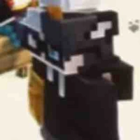 T/G