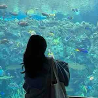 Nguyễn Mộc Nhiên