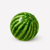 🍉