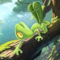 Treecko_Destin
