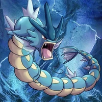 Gyarados_NCC