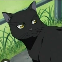 Yoruichi dạng mèo