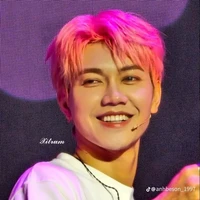 Thái Sơn (trí sơn)