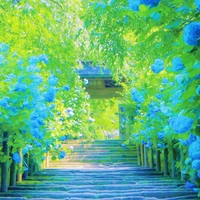 Hội anh em!(Keito, Minato và Ryusei)