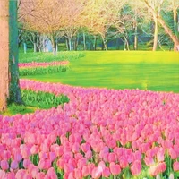 Hội chị em!(Sayo, Mei và Sakura)