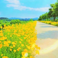 2 chị em Sayo và Sae!