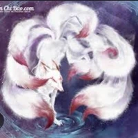 Lyly(dạng thập vĩ hồ)