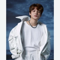 Phạm Đình Thái Ngân